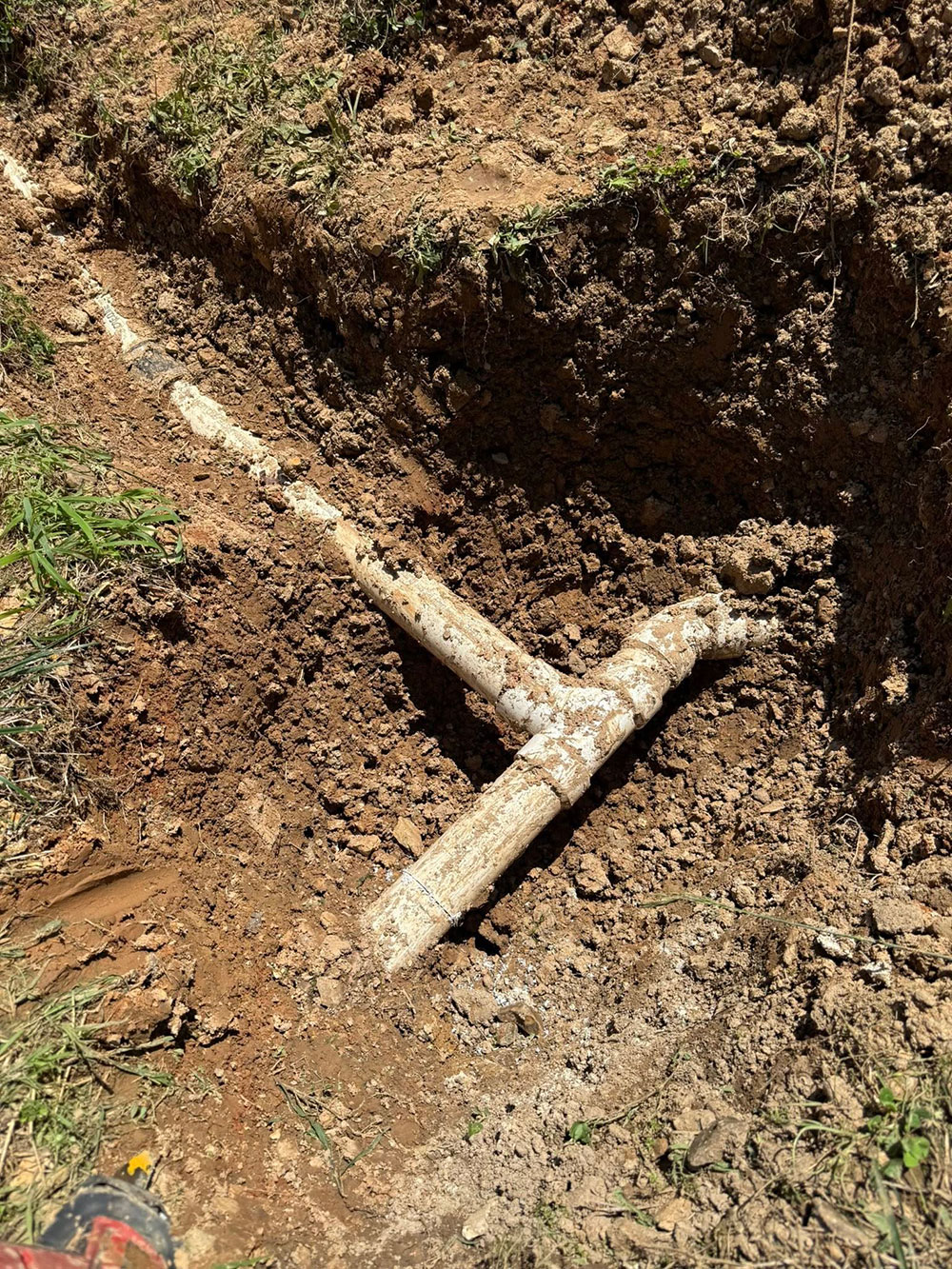 images/gallery/before-after/4.jpg#joomlaImage://local-images/gallery/before-after/4.jpg?width=1000&height=1333